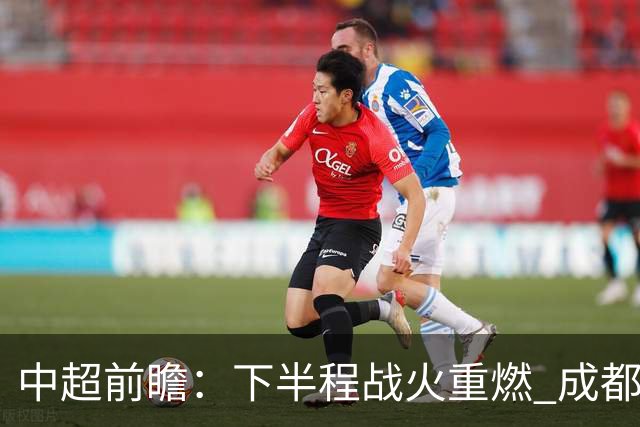 中超前瞻：下半程战火重燃 成都剑指三分申花求反弹